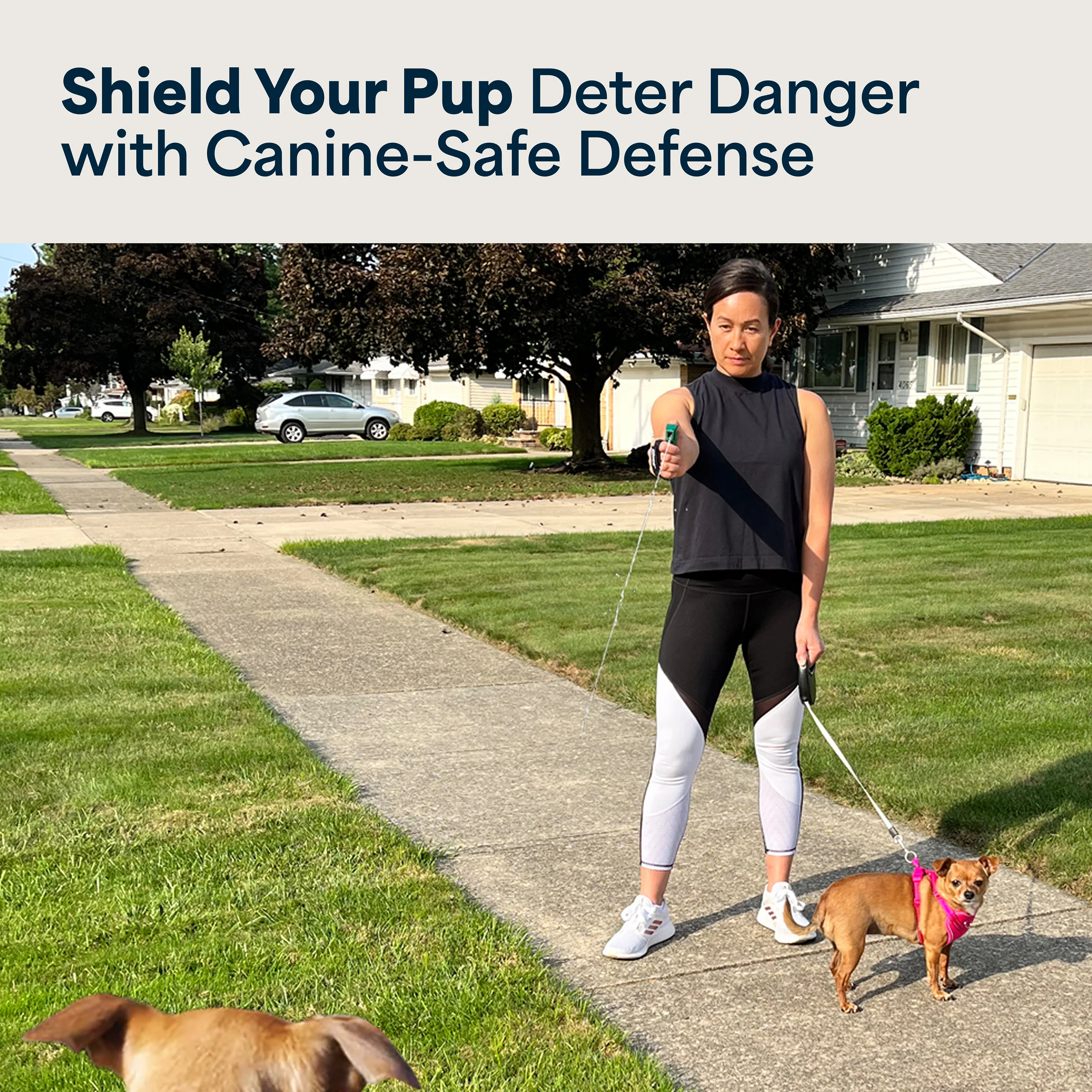 Mace Flip Top Muzzle Dog Deterrent & Self Defense Spray - Image 5